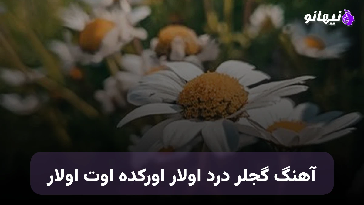 دانلود آهنگ گجلر درد اولار اورکده اوت اولار ترکی